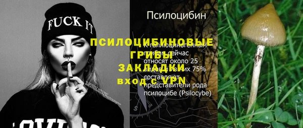 хмурый Зеленодольск