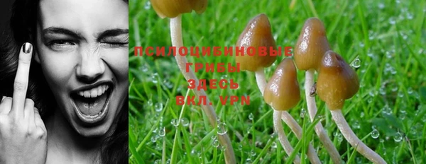 метадон Зерноград