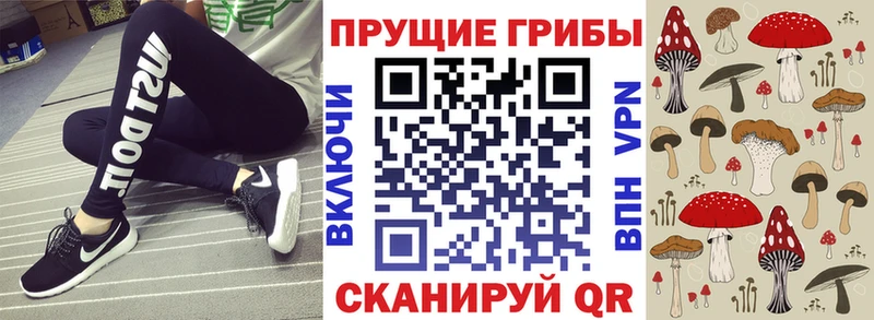 Псилоцибиновые грибы Psilocybine cubensis  Купить где  Мценск 
